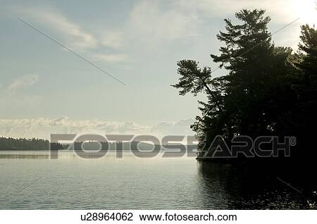 Stock Image - Lake of the Woods, Ontario, Canada; View of a forest next to a lake. Fotosearch