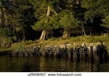 Stock Photo - Lake of the Woods, Ontario, Canada; Tranquil lake scene. Fotosearch