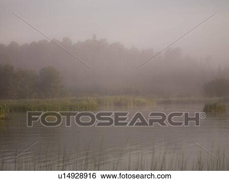 Lake of the Woods, Ontario, Canada; Mist rises over lake View Large Photo Image Stock Photograph - Lake of the Woods, Ontario, Canada; Mist rises over lake. Fotosearch