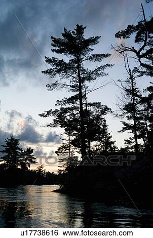Stock Photograph - Lake of the Woods, Ontario, Canada. Fotosearch
