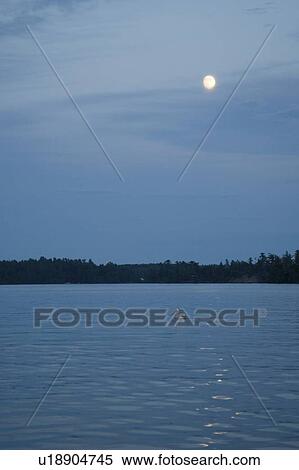 Lake of the Woods, Ontario, Canada; American white pelican swimming underneath a night sky View Large Photo Image Stock Photography - Lake of the Woods, Ontario, Canada; American white pelican swimming underneath a night sky. Fotosearch