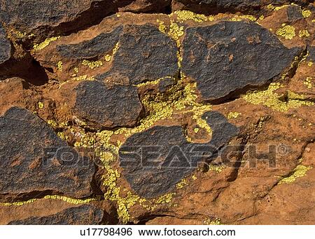 Lichen on rock View Large Photo Image Stock Photograph - Lichen on rock. Fotosearch