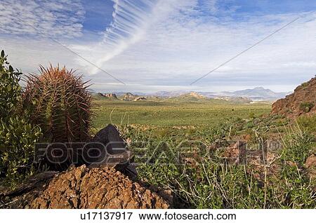 Stock Photo - Lost Dutchman State Park, Arizona, USA . Fotosearch