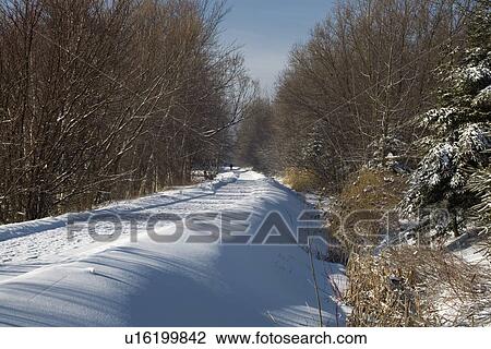 Stock Image - Man in distance walking down a country road covered in snow. Fotosearch