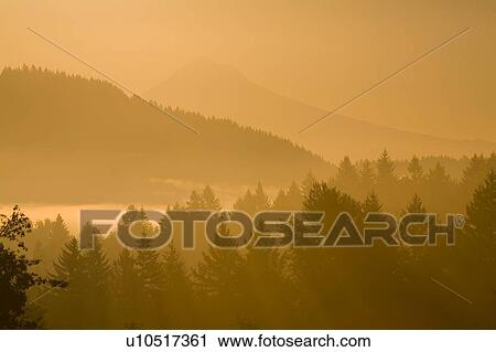 Mount Hood, Oregon, USA; Silhouetted landscape at sunrise View Large Photo Image Stock Image - Mount Hood, Oregon, USA; Silhouetted landscape at sunrise. Fotosearch