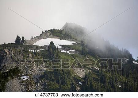 Stock Image - Mount Rainier National park, Washington State, USA. Fotosearch