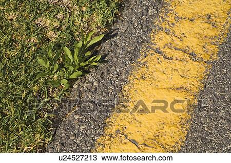 No parking yellow line View Large Photo Image Stock Image - No parking yellow line. Fotosearch