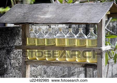 Stock Photography - Nusa Dua, Bali, Indonesia; Bottles of oil. Fotosearch