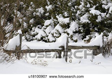 Old wooden fence covered in snow View Large Photo Image Stock Photo - Old wooden fence covered in snow. Fotosearch