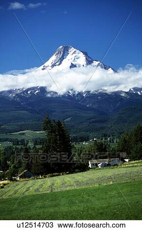 Stock Image - Oregon, USA; Mount Hood and low lying cloud. Fotosearch
