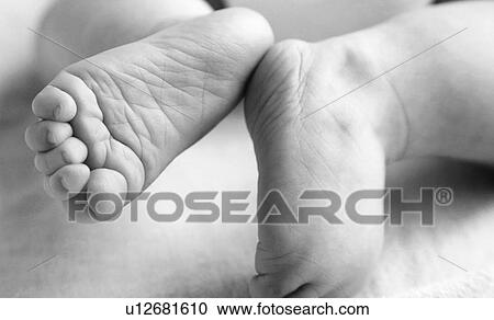 Pair of baby feet View Large Photo Image Stock Image - Pair of baby feet. Fotosearch