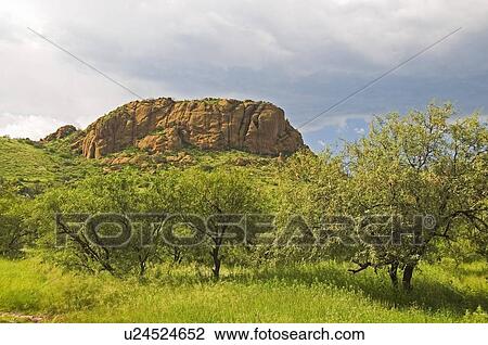 Stock Image - Pajarito Mountains, Arizona, USA. Fotosearch