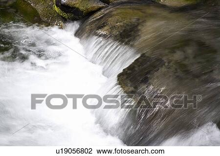 Paradise creek, Mount Rainier National Park, Washington State, USA View Large Photo Image Stock Image - Paradise creek, Mount Rainier National Park, Washington State, USA. Fotosearch
