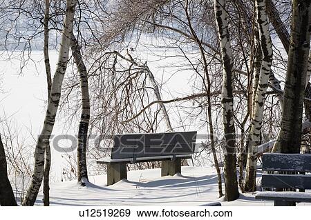 Stock Photo - Park bench covered in snow. Fotosearch