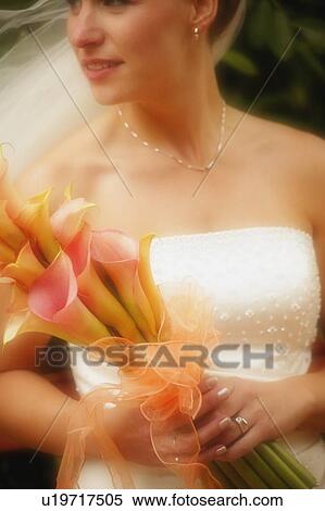 Stock Photography - Portrait of a bride. Fotosearch