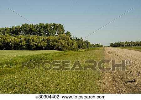 Prairies, Lake of the Woods, Ontario, Canada; Prairies View Large Photo Image Stock Image - Prairies, Lake of the Woods, Ontario, Canada; Prairies. Fotosearch