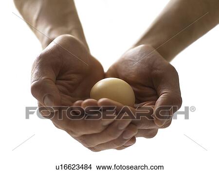 Precious egg View Large Photo Image Picture - Precious egg. Fotosearch