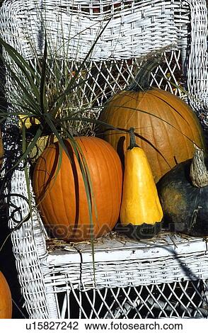 Stock Image - Pumpkins on white chair. Fotosearch