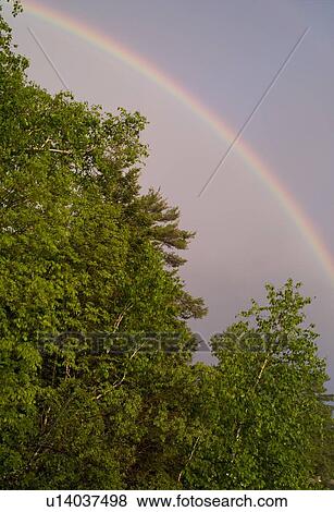 Rainbow, Lake of the Woods, Ontario, Canada View Large Photo Image Stock Photo - Rainbow, Lake of the Woods, Ontario, Canada . Fotosearch
