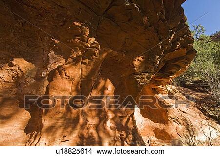 Picture - Red rock canyon, Sedona, Arizona, USA. Fotosearch
