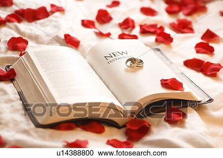 Stock Image - Rings on the Bible; Wedding rings on the New Testament Bible surrounded by rose petals. Fotosearch
