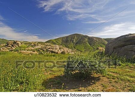Riverside County, California, USA; landscape scene View Large Photo Image Stock Image - Riverside County, California, USA; landscape scene. Fotosearch