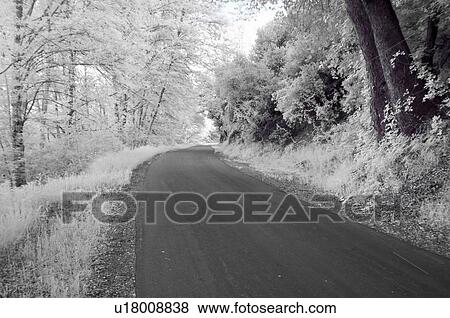 Stock Photo - Road along West fork of San Gabriel River, California, USA . Fotosearch