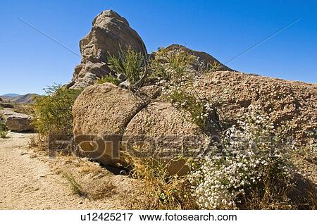 Rock formations in the Mojave desert, California, USA View Large Photo Image Stock Photo - Rock formations in the Mojave desert, California, USA . Fotosearch