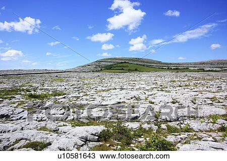 Rock Garden, The Burren, Co Clare, Ireland; View of rock landscape View Large Photo Image Stock Image - Rock Garden, The Burren, Co Clare, Ireland; View of rock landscape. Fotosearch