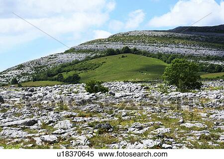 Stock Photography - Rock Garden, The Burren, Co Clare, Ireland; View of rock landscape. Fotosearch