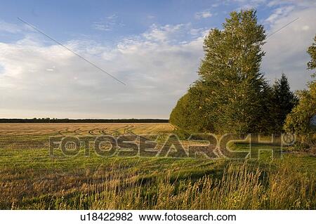 Rural Manitoba, Canada View Large Photo Image Stock Image - Rural Manitoba, Canada. Fotosearch