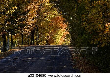 Rural road, Quebec, Canada View Large Photo Image Stock Image - Rural road, Quebec, Canada. Fotosearch