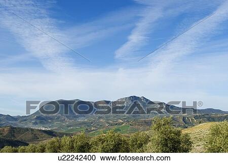 Seville Province, Andalucia, Spain; El Peñon of Algamitas at 1100 metres in the Tablon mountain range View Large Photo Image Stock Image - Seville Province, Andalucia, Spain; El Peñon of Algamitas at 1100 metres in the Tablon mountain range. Fotosearch