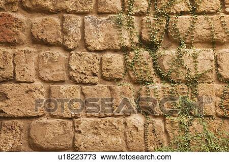 Seville Province, Spain; Old stone wall with ivy View Large Photo Image Stock Image - Seville Province, Spain; Old stone wall with ivy. Fotosearch