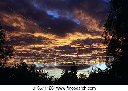 Stock Photograph - Sheffield, England, United Kingdom; Clouds tinted yellow from a sunrise. Fotosearch