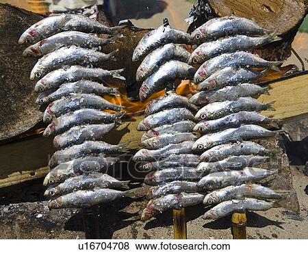 Skewers of sardines View Large Photo Image Stock Photo - Skewers of sardines. Fotosearch