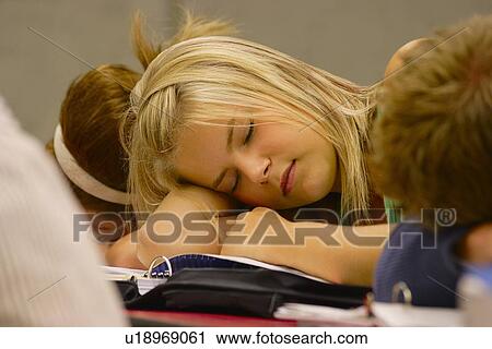 Sleeping in school View Large Photo Image Stock Image - Sleeping in school. Fotosearch