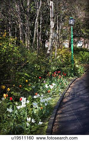 Stock Image - Spring flowers lining a formal driveway. Fotosearch
