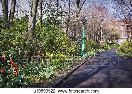 Stock Image - Spring flowers lining a formal driveway. Fotosearch