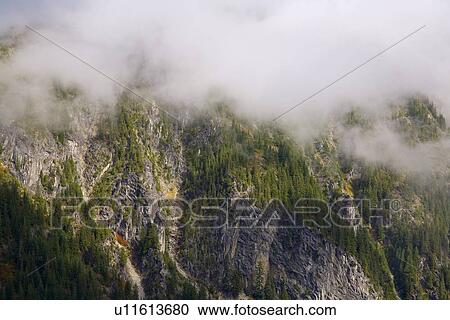 Stevens Pass, Mt. Rainier National Park, Washington, USA View Large Photo Image Stock Image - Stevens Pass, Mt. Rainier National Park, Washington, USA. Fotosearch