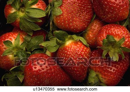 Stock Photography - Strawberries. Fotosearch