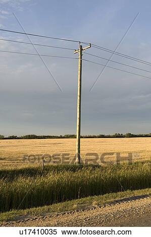 Stock Photography - Telephone pole, Manitoba, Canada. Fotosearch