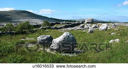The Burren, Co Clare, Ireland; Landscape at the Rockgarden View Large Photo Image Stock Image - The Burren, Co Clare, Ireland; Landscape at the Rockgarden. Fotosearch