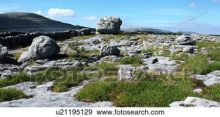 Stock Photo - The Burren, Co Clare, Ireland; Landscape at the Rockgarden. Fotosearch