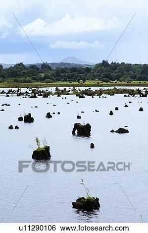 The Gearagh, Macroom, Co Cork, Ireland; The Gearagh View Large Photo Image Stock Photograph - The Gearagh, Macroom, Co Cork, Ireland; The Gearagh. Fotosearch