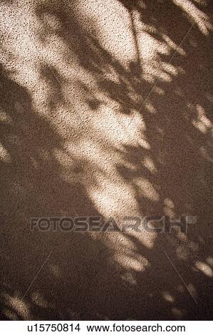 Tree shadow on a stucco wall View Large Photo Image Picture - Tree shadow on a stucco wall. Fotosearch