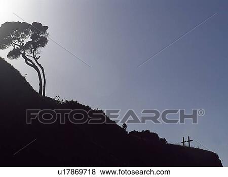 Two crosses downhill from a windswept tree View Large Photo Image Stock Photo - Two crosses downhill from a windswept tree. Fotosearch
