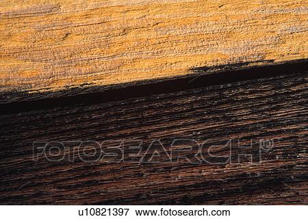 Two tone wood View Large Photo Image Stock Photo - Two tone wood. Fotosearch