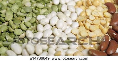 Stock Photo - Variety of beans. Fotosearch