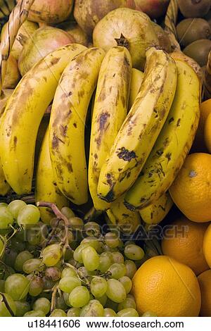 Stock Photograph - Variety of fresh fruit. Fotosearch
